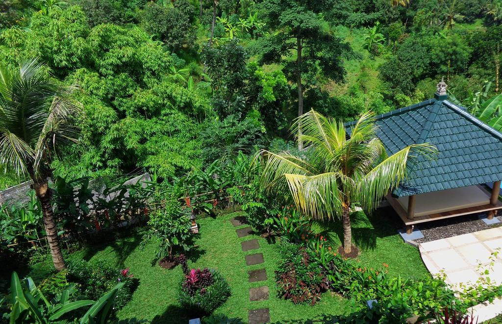 Villa Le Tito Lovina Exteriér fotografie